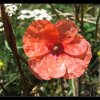 20070715_028
